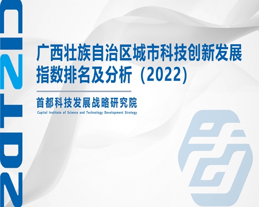 操逼喷水高清【成果发布】广西壮族自治区城市科技创新发展指数排名及分析（2022）